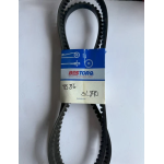 Bestorq Replacement V Belt